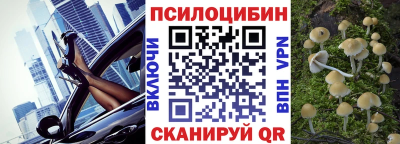 где продают Минусинск Галлюциногенные грибы Psilocybine cubensis