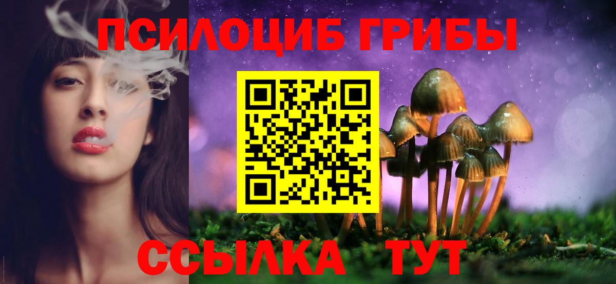 Псилоцибиновые грибы MAGIC MUSHROOMS  Вход с VPN  Минусинск  Псилоцибиновые грибы MAGIC MUSHROOMS 