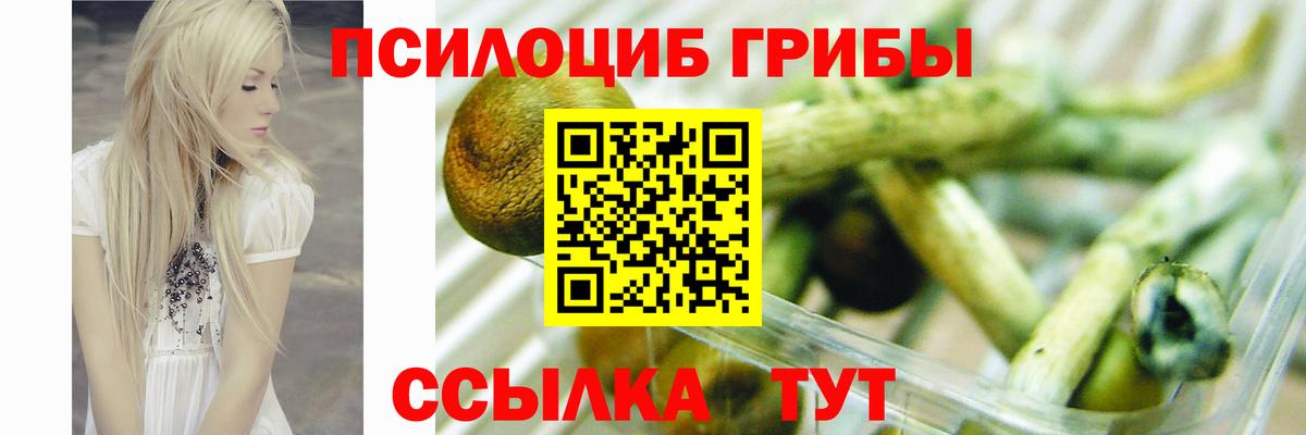 Псилоцибиновые грибы Magic Shrooms Минусинск